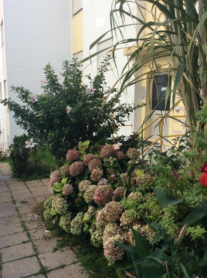 Jardim Das Flores FAO Eksteriør billede